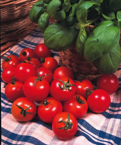 JustSeed - Tomato - Gardeners Delight - 50 Seed - Economy Pack