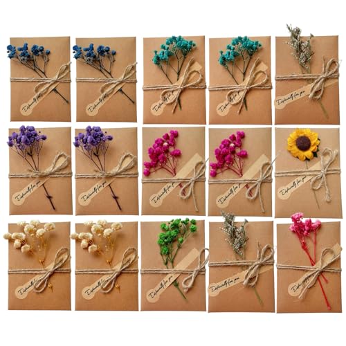 Yuqilin 15 Piezas Tarjetas Personalizadas Sobres Papel Kraft Tarjetas de Felicitación de Flores Secas Felicitación Creativas Postales Decoradas Home Deco para Persona Especial Invitaciones Más Yuqilin 15 Piezas Tarjetas Personalizadas Sobres Papel Kraft Tarjetas de Felicitación de Flores Secas Felicitación Creativas Postales Decoradas Home Deco para Persona Especial Invitaciones Más