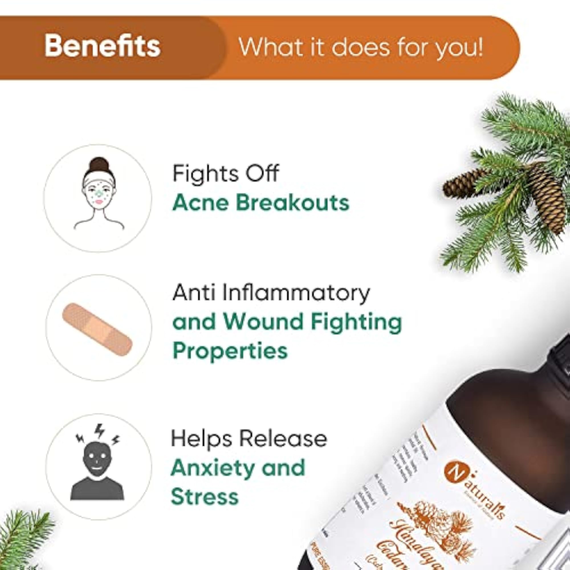 Himalayan Cedarwood Essential Oil, 120ml