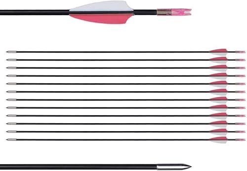 Vista 12 de LWANO Flechas de entrenamiento de 31 pulgadas, para práctica de tiro con arco, para niños, jóvenes o principiantes con eje duradero en arco recurvo