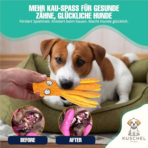Oktopus Hundespielzeug ohne Füllung, Quietschende Krake aus Plüsch, Robustes Kauspielzeug & Beschäftigung für kleine und mittelgroße Hunde, 4er-Set von Kuschelfreunde