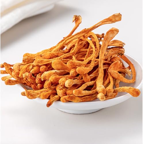 Flores secas de Cordyceps 250g bolsa resellable miniatura 2