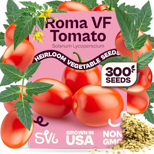SVI 300 VF Roma Tomato Seeds (Solanum lycoperscium) Italian Plum Tomato Paste Seed Packets Determinate Roma Tomatoes Non GMO Heirloom Vegetable Seeds for Gardens Raised Beds Containers