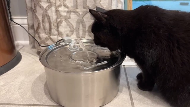 Cat Water Fountain Stainless Steel,3.2L/108oz Automatic Pet Fountain Dog Water Dispenser,Ultra Quiet Pump with 3 Replacement Filters for Cats, Dogs, Multiple Pets - image 7