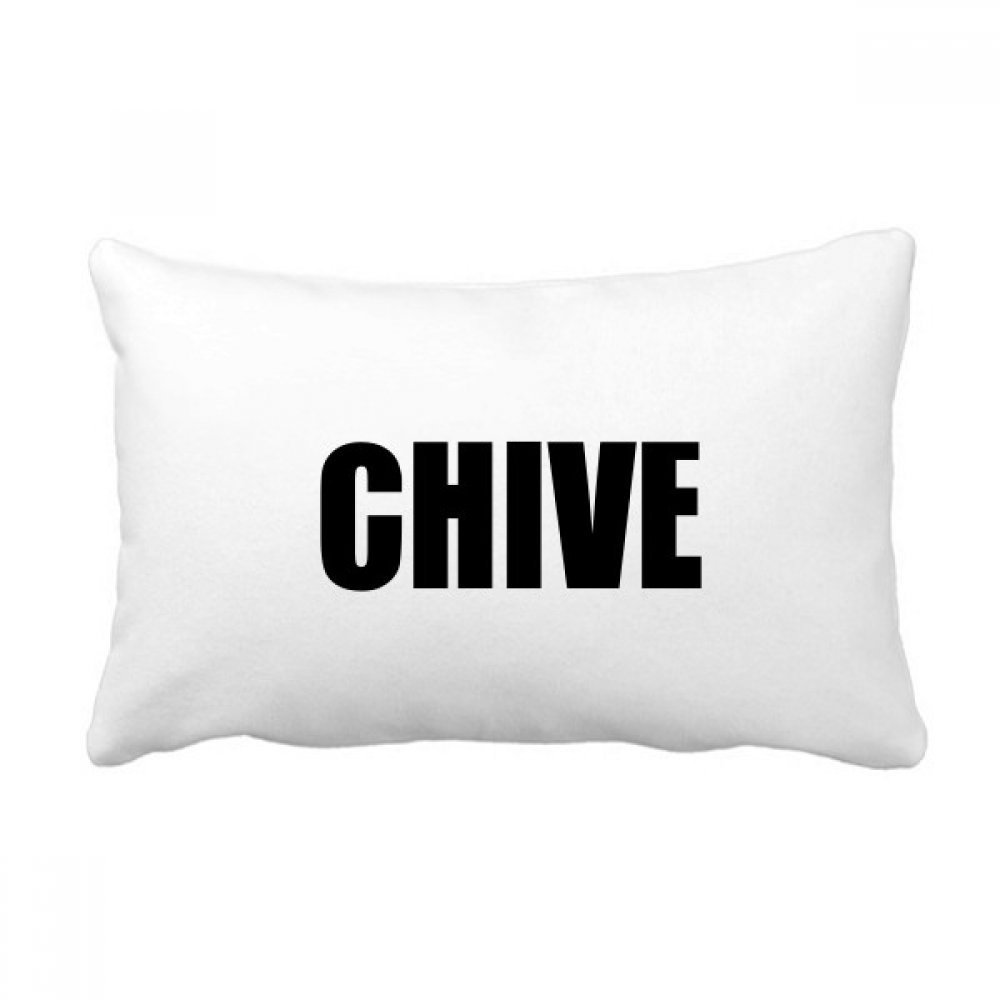 Ciboulette coussin de décoration multicolore grand format 40x60cm