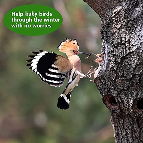 Wormsking 5.5Lb Non-Gmo Dried Black Soldier Fly Larvae, High Calcium Worms For Chickens, High Protein Chicken Feed, Chicken Treat #TOP4