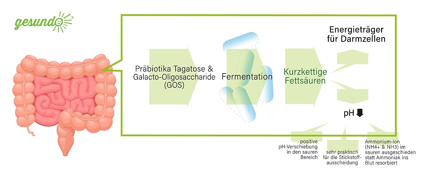Tagatose-Galactose Pulver - 100% natürliche Zuckeralternative - 250g Dose