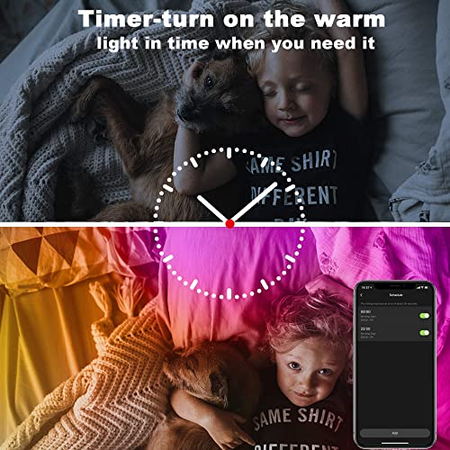 Dalattin Led Lights 100Ft Wifi Led Light Strip For Bedroom Work With Alexa Google Assistant Smart App Control Rgb Color Changing Music Sync (2 Rolls Of 50Ft)… thumb #5