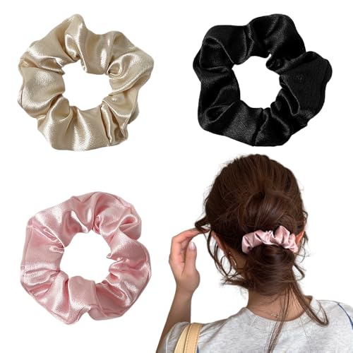 TRX VV wAS 3 Te  wA^C S  n wAANZT[  {[  킢 [fBX l v[g (ubN+sN+Vp)