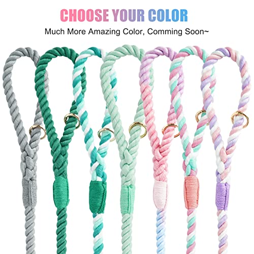 Nugutic Hundeleine, handgefertigt, geflochtenes Seil, für kleine, mittelgroße und große Hunde, 1,2 m, Regenbogen