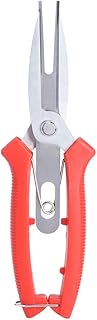 Stainless Steel Pruning Shears Plant Pruners for Small Branches, Flowers, Fruit Trees Long Straight Pointed Double Scissors Locking Device Suitable for Pear Trees