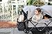 Larktale Caravan - 200 lbs. Capacity, Double Seater Collapsible Wagon, All-Terrain Stroller Wagon for Kids and Babies - 2023 Version - Gray/Black