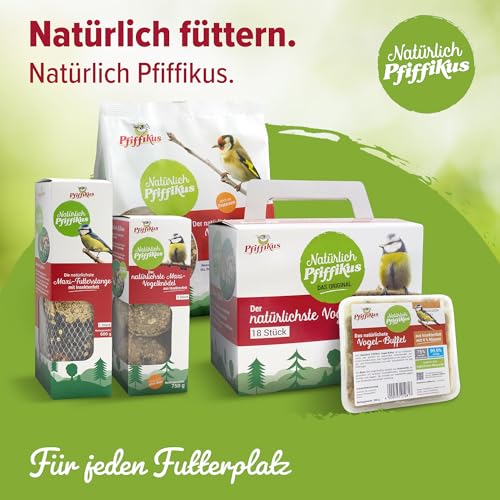 Natürlich Pfiffikus Vogel-Buffet – Fettfutterblock mit Insektenfett für Wildvögel – Vogelfutter Fettblock proteinreiches Ganzjahresfutter– nachhaltig & CO₂-sparend – Energiekuchen für Wildvögel