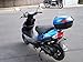 SMART DEALSNOW Brings Brand New 50cc Gas Fully Automatic Street Legal Scooter TaoTao ATM50-A1 - BOLD BLUE