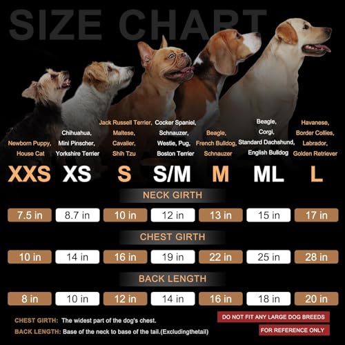 Image of BEAUTYZOO Dog Hoodies Sweater for Medium Dogs, Waffle‑Like Laminated Coat | Warm Dog Sweatshirt with Pocket & Leash Hole, Pullover Clothes for Girl Boy Dogs, Stretchy & Easy‑On‑Off, Bulldogs Pitbulls
