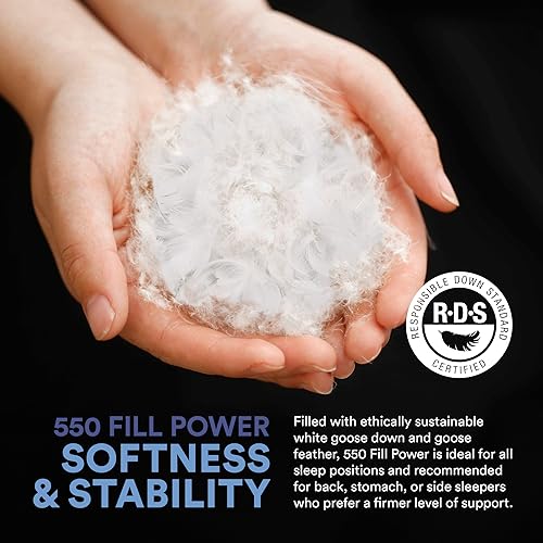 Continental Bedding B00RSHKM56 Luxury Feather Goose Down Pillow Standard Size Pack Of 1 - Family Made In New York - Bed Pillows thumb #2