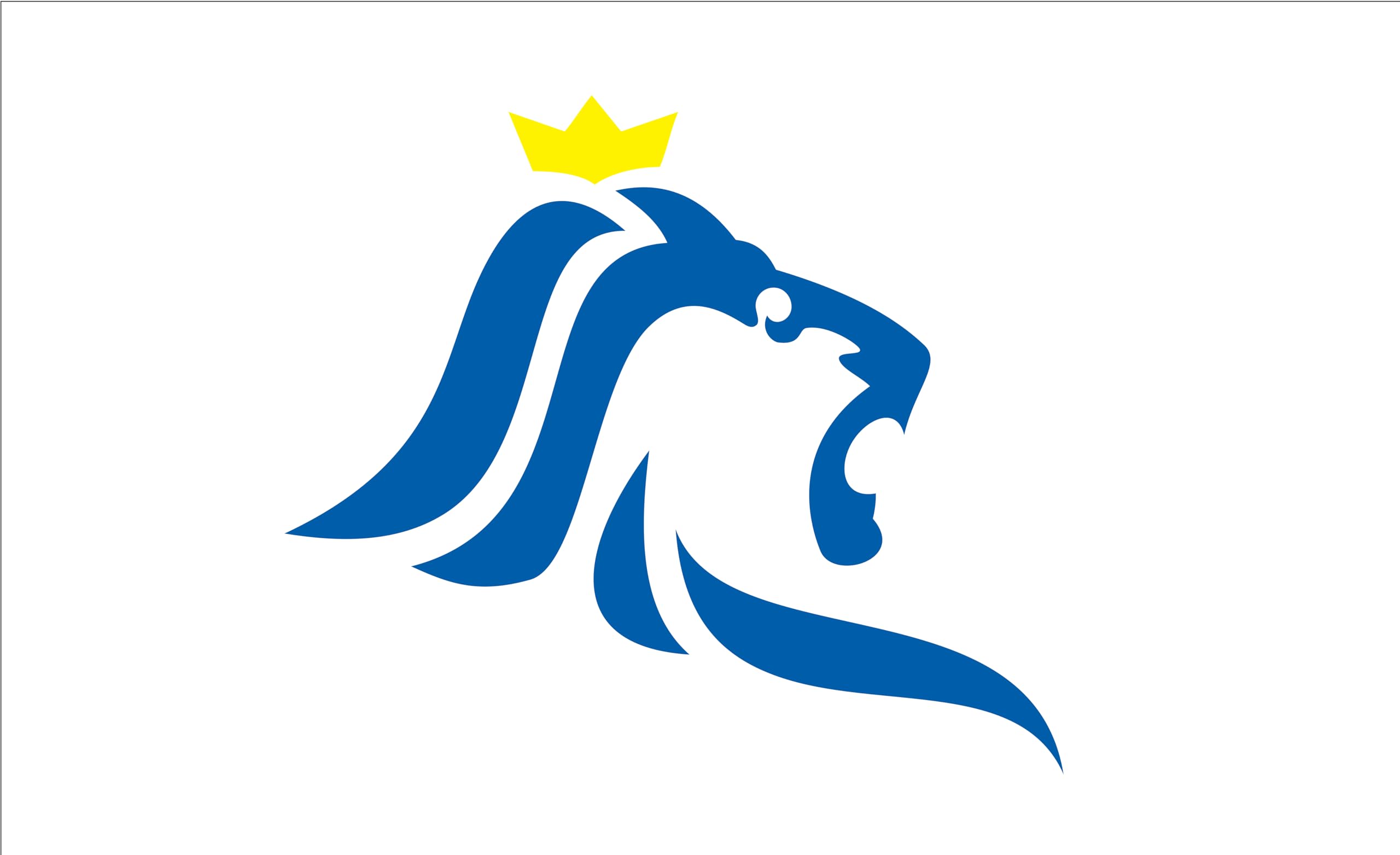 Drapeau de la ville Luxembourg ultra tissu drapeau de navire extérieur