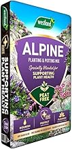 Indigo® Garden Alpine Planting & Potting Compost – 25L Peat-Free Mix For Rockery & Container Plants