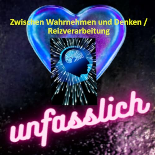 Zwischen Wahrnehmen und Denken / Reizverarbeitung
