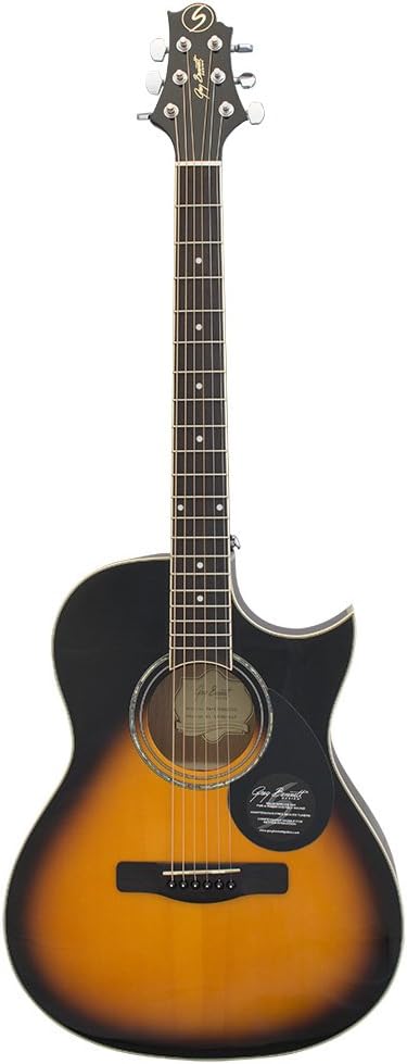 Greg Bennett Ga-100sce/VS Western Guitar
