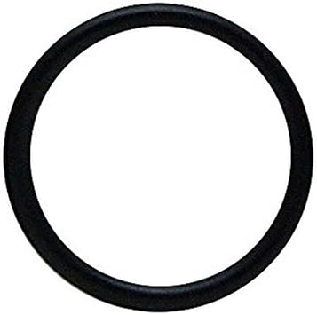 AquaClear Seal Ring for 110 Power Filter