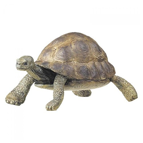 Papo Tortoise Figure Multicolor