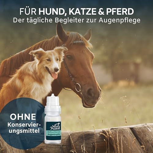 Vital-Friend Augentropfen für Hunde, Katzen und Pferde 10 ml, Augenpflege & Befeuchtung bei Entzündungen, Augenreiniger, Unterstützende Pflege bei Bindehautentzündung, konservierungsmittelfrei