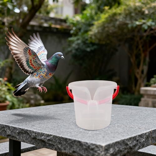 Contenedor transparente para comedero de pájaros con sistema vertedor antidesperdicio 7