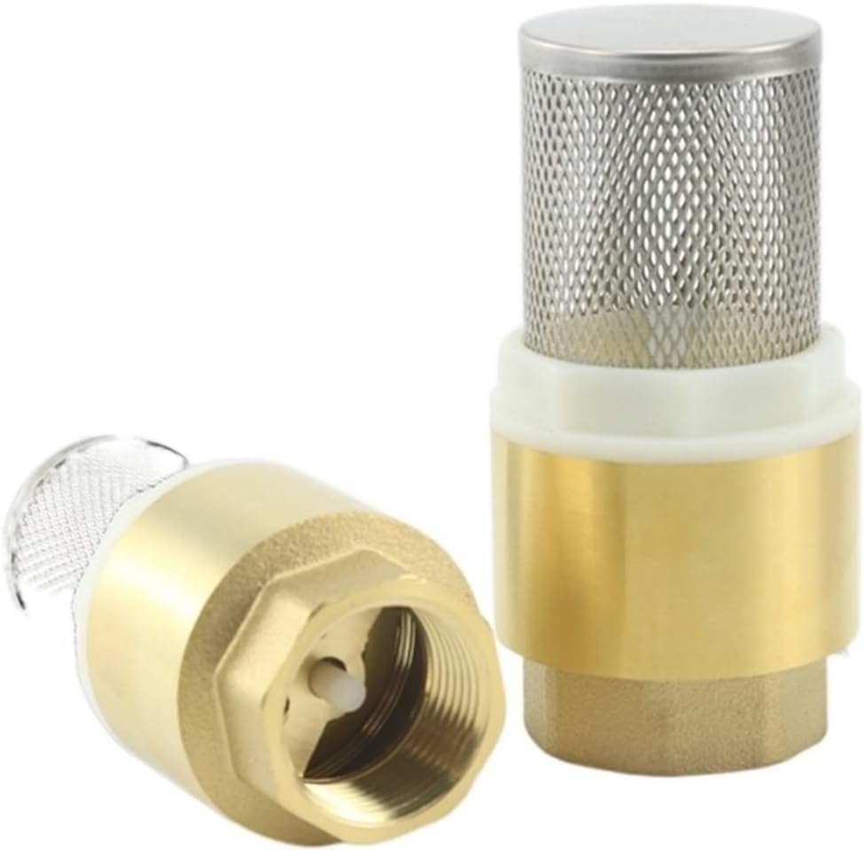 Clapet anti-retour laiton anti-sable 1 pouce pour stopper le désamorçage des pompes à eau