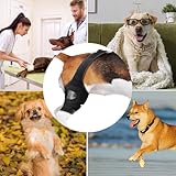 Hunde-Kniebandage – Bandage für Hinterbein, Bein oder Vorderbein, verstellbare Beinstütze für Hinterbeine, Bänderverletzungen, lindert Schmerzen und reduziert Schmerzen