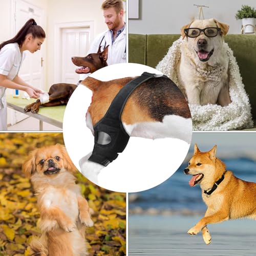Hunde-Kniebandage – Bandage für Hinterbein, Bein oder Vorderbein, verstellbare Beinstütze für Hinterbeine, Bänderverletzungen, lindert Schmerzen und reduziert Schmerzen