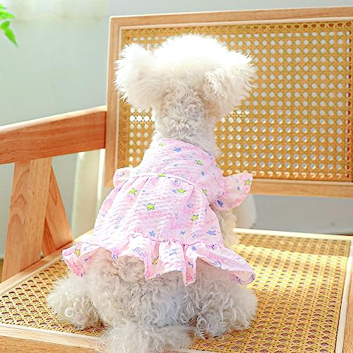 Disfraz vestido para perro talla S miniatura 4