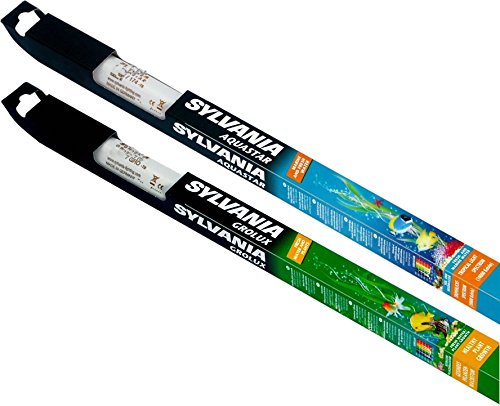 SYLVANIA Grolux + Aquastar T8 - Bombilla (15 W, 438 mm) Cover