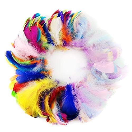 Hamnor 300 pcs 15-20 Colors Decoration Feathers for DIY Dream Catchers Making,Party Decor Feathers 2.3-4.7 inches