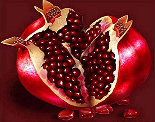 Peinture diamant 5D grenade rouge broderie strass ronds de 45x60 cm