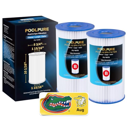 POOLPURE Type B Pool Filters Compatible with Intex 29005E, 29005/59905, JPC01 Type IV-B, 28633EG, 2500 GPH Cartridge Filter Pump, Flow Clear/Easy Set Reusable Swimming Pool Filter Cartridge, 2 Pack