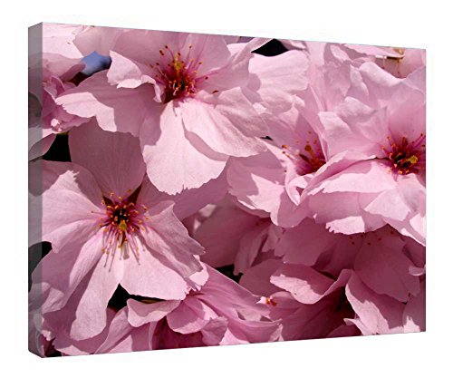 Impression sur toile prete a suspendre cadre bois cerisier deco sans effort