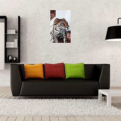 Affiche léopard regard félin captivant émotion nature sauvage - 2