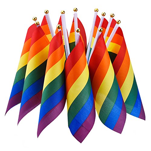 Hotop 12 Piezas Bandera de Arco Iris Bandera de LGBT de Paz de Lesbian Orgullo de Gay Bandera de Festival Carnaval
