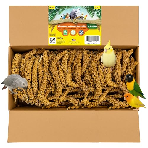 Birds LOVE Wholesome & Lovely Spray Millet | GMO Free (No Stems Only Edible Tops) for Parrots Birds Cockatiel Lovebird Parakeet Finch Canary All Parrots Healthy Treat -25lbs