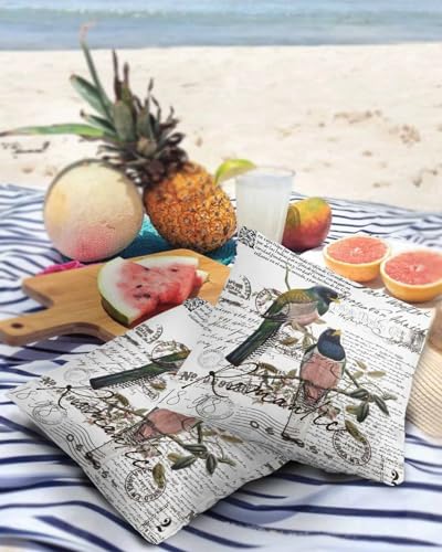 Old Newspaper Outdoor Pillow Cover 16x16 Inch Cushion Sham Case, Waterproof Decorative Square Throw Pillowcase for Outside Garden Patio Porch Couch Chair Tent Animal Birds Antique English Newsprint