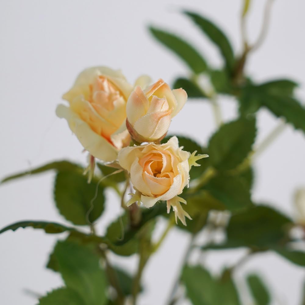 Melorca&Guilla Fake Flowers,6PCS 29" Artificial Rose for Vase, Long Stems Champagne Artificial Flowers Faux Flower Arrangements for Shop Garden Office Home Décor (6, Champagne Rose) - Image 2