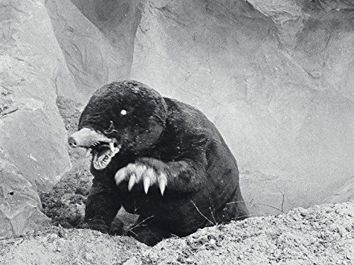 感想】ウルトラQ 第8話「甘い蜜の恐怖」 - やっぱ、シンプル。 ～ARAI