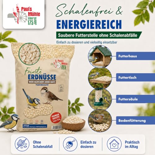 Paul´s Mühle - 10 kg Erdnüsse Weiss, blanchiert ohne Haut Neue Ernte 2026