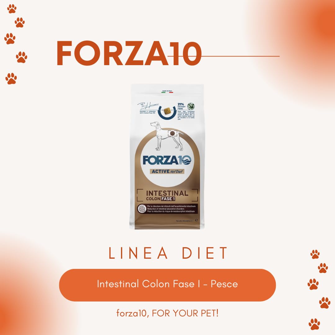 FORZA 10 Cane Intestinal Colon Fase I - Pesce All Size | alimento secco dietetico completo per cani adulti, per ridurre i disturbi dell’assorbimento intestinale, 1 confezione da 10 kg.