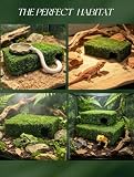 Grotte AILAMIAO en mousse verte, cachette humide taille L photo 4