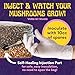 SPORE SORCERY 5 LB All-in-One Grow Bag: Up to 40oz of Mushrooms! Nutrient-Enhanced, Injection Port, Just Add Your Own Spores & Grow Like Magic (5 LB Bag)