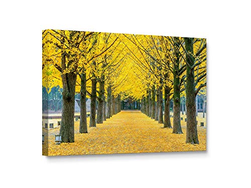 Niwo ART - Golden Leaves Ginkgo Tree, Fall Foliage Series, Canvas Wall Art Home Decor, Gallery Wrapped, Stretched, Framed Ready to Hang (30"x20"x1.5")