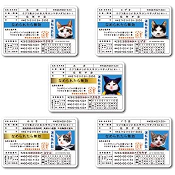 Amazon Co Jp 全5種セット なめ猫 免許証セット まとめ買い コレクション キャラクターステッカー 懐かし 80年代 なめ猫グッズ Nameset Gs 公式 ステッカー ホビー