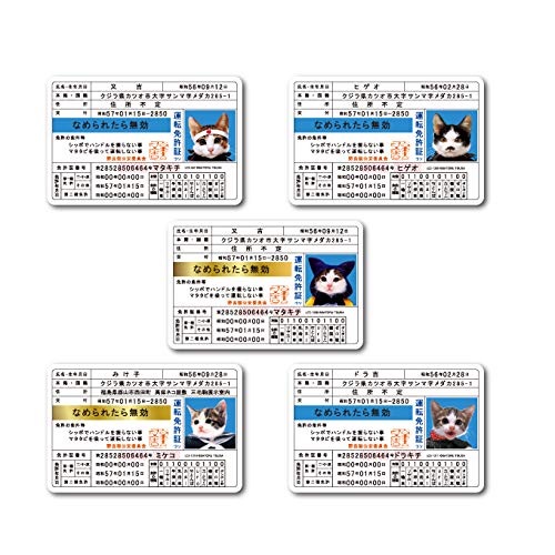 Amazon | 【全5種セット】 なめ猫 免許証セット まとめ買い 
